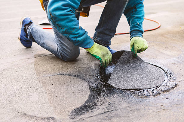 Sealer Protector Services